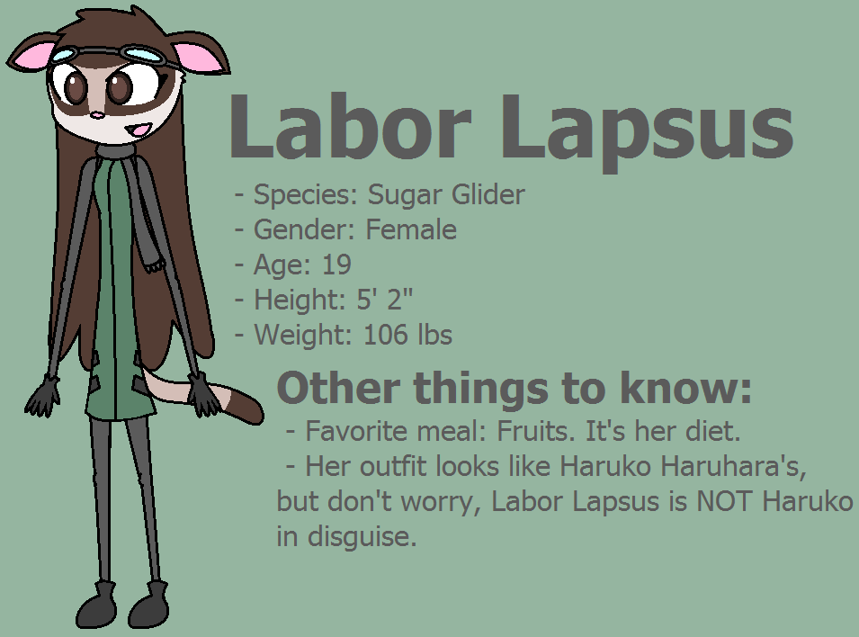 Labor Lapsus Reference 2013