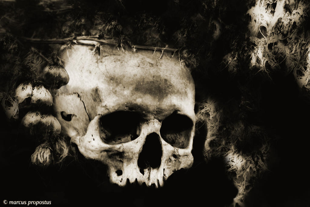 Memento mori by marcuspropostus Memento mori by marcuspropostus