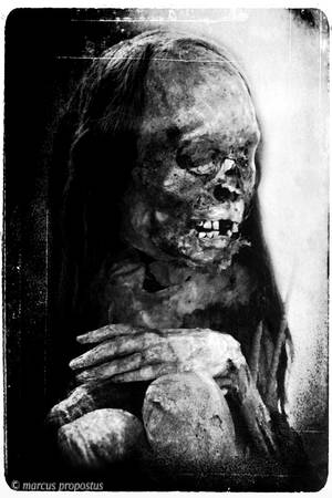 Death by marcuspropostus Death by marcuspropostus