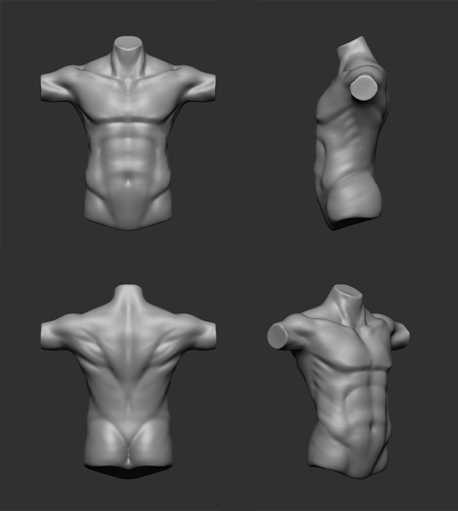 Torso Frame Animation Torso Sculpt by Rappenem on DeviantArt