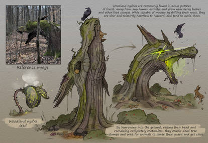 Woodland Hydra