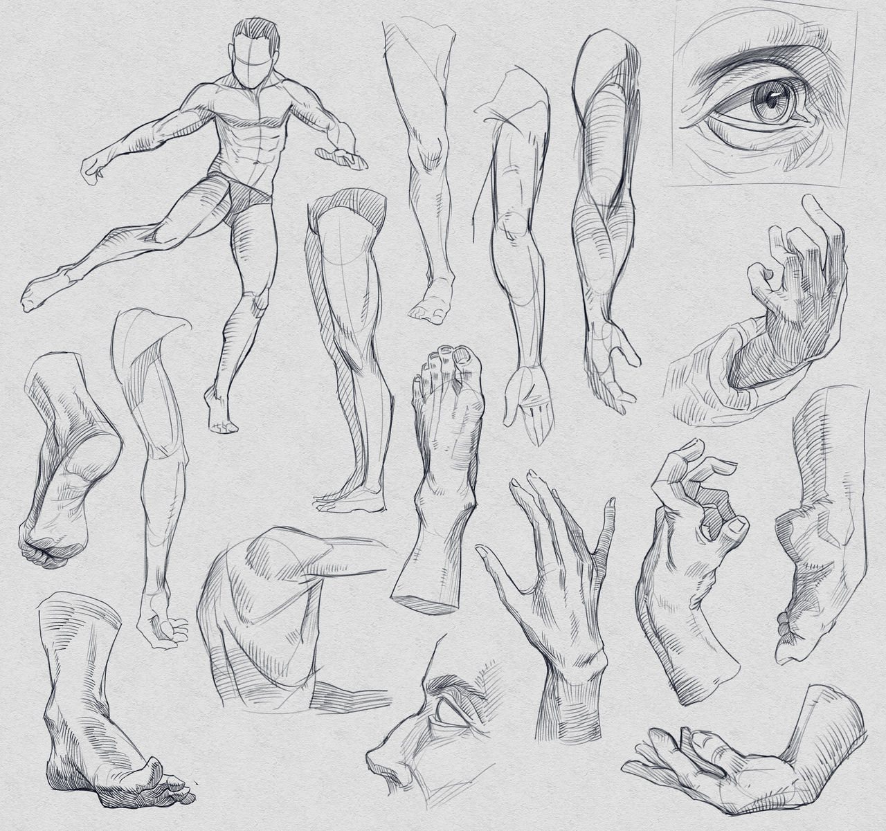 Anatomy Sketches #6 by Rappenem on DeviantArt