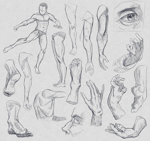 Anatomy Sketches #6