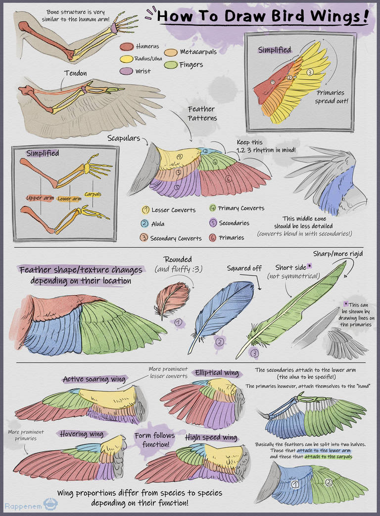 Bird Wing Tutorial by Rappenem on DeviantArt
