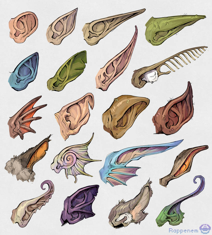 Ear Types by Rappenem on DeviantArt
