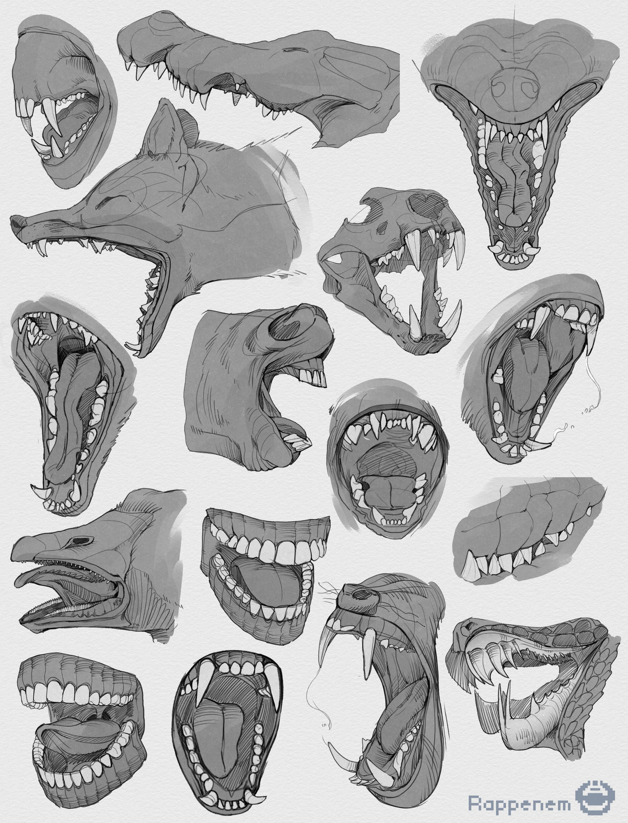 Deviantart Rateeth Teeth Studies by Rappenem on DeviantArt