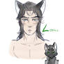 Silver Fox Loki