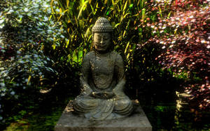 Buddha Garden