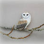 barn owl brooch