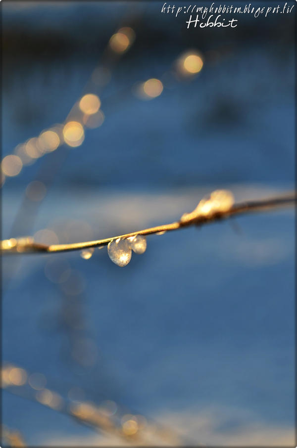 Iced drop. by Hanibabe on DeviantArt