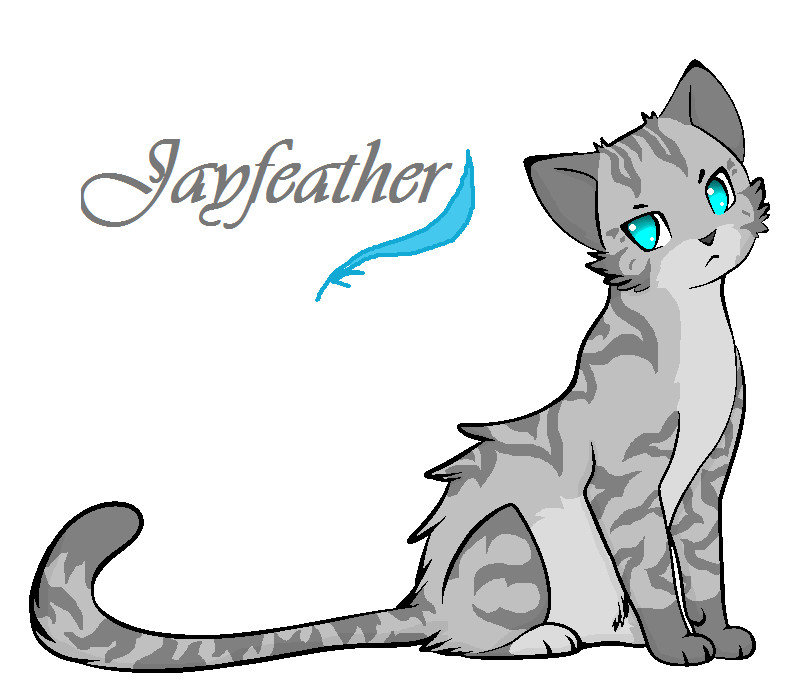 jayfeather by Violetkay214 on DeviantArt