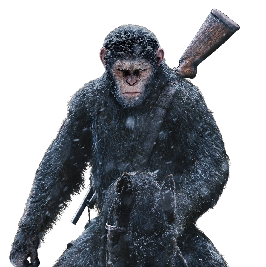 Caesar (Planet of the Apes) by TotallyNotIncina on DeviantArt