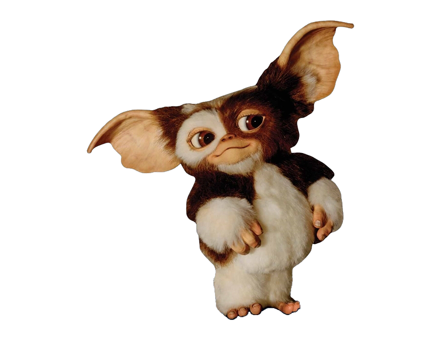 Gizmo by TotallyNotIncina on DeviantArt
