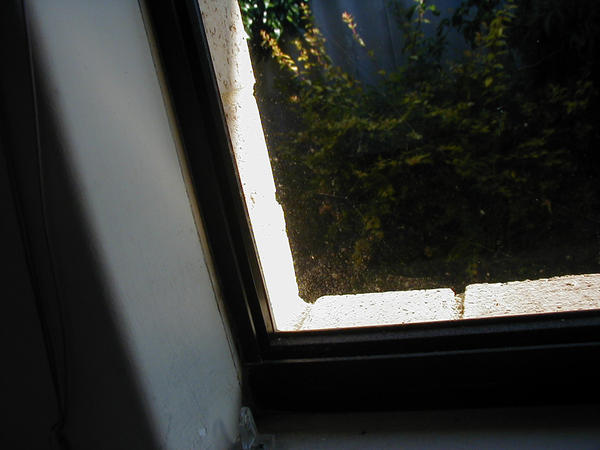 Window by mirrorsEverywhere on DeviantArt