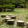 Heian Shrine Steping Stones