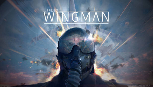 Project Wingman