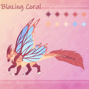 Blazing Coral - Auction (OPEN)