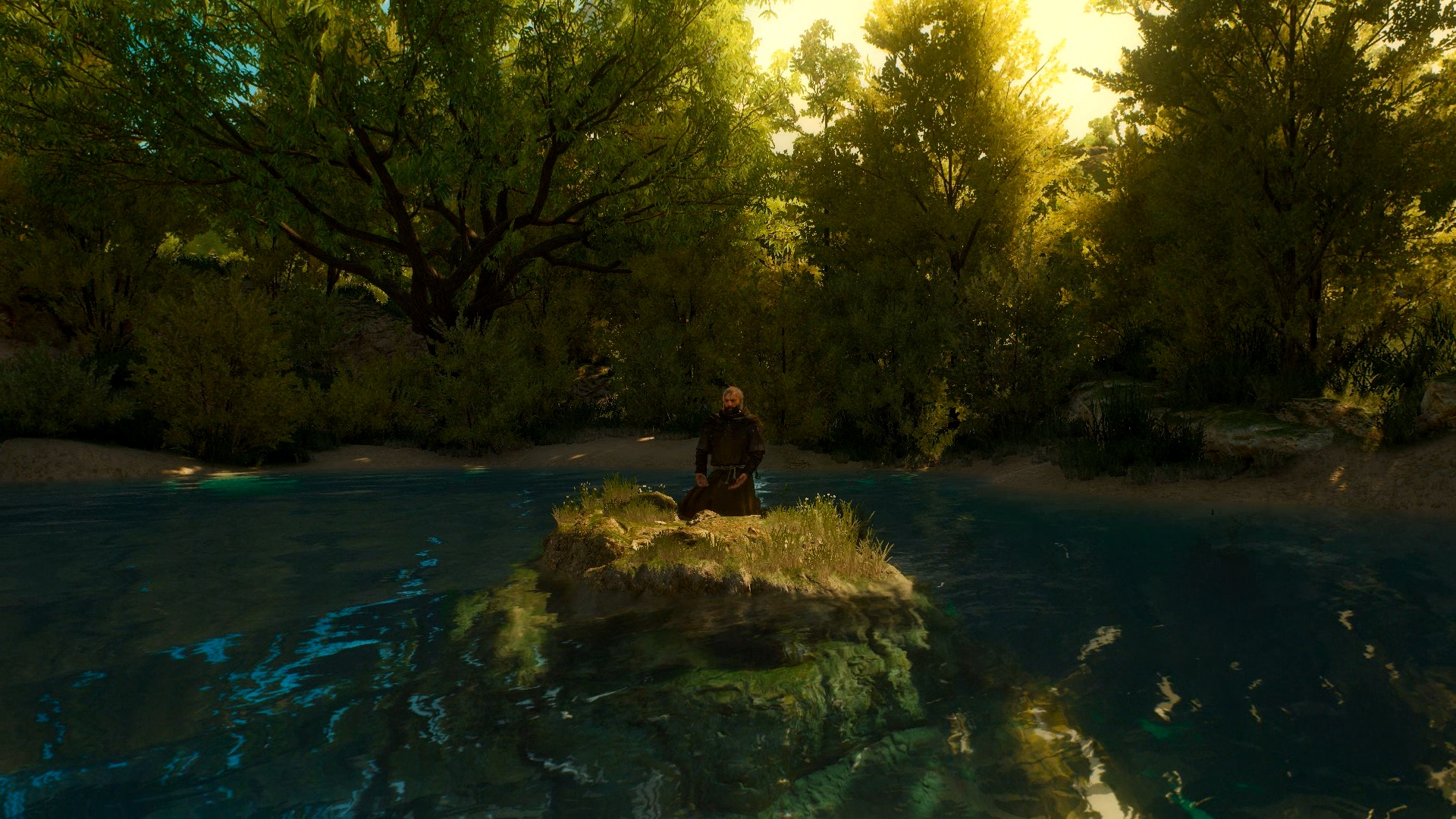 Witcher 3 Shy Monk Dreamscene