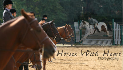 HorsesWithHeart logo