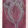 Silver Tulip, the bookmark