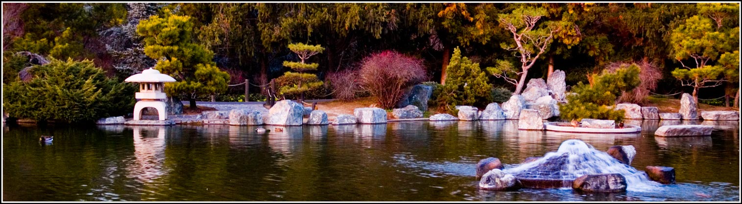 Hakone Garden pond