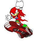 Knuckles Free Riders
