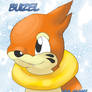 Buizel