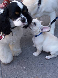 Kiss on the Cheek