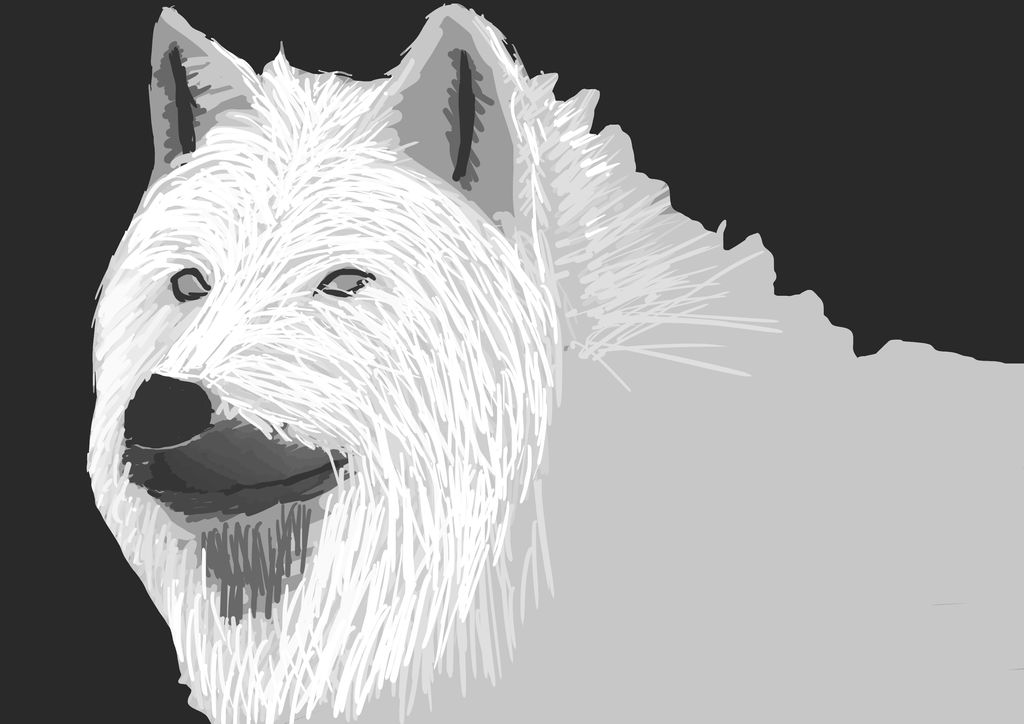 Conceptart White Wolf V2