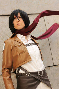 SnK: Mikasa Ackerman