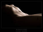 bodyscape by eyechart