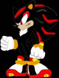 Shadow the Hedgehog