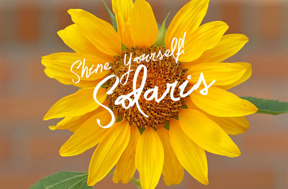 Solaris Font by creativework247 on DeviantArt