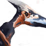 Jurassic Park pteranodon
