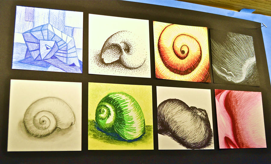 Shell Traceart Complete Shell Series by drake-dragons on DeviantArt