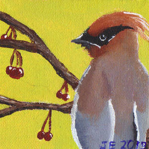 Bird Series - Cedar Waxwing