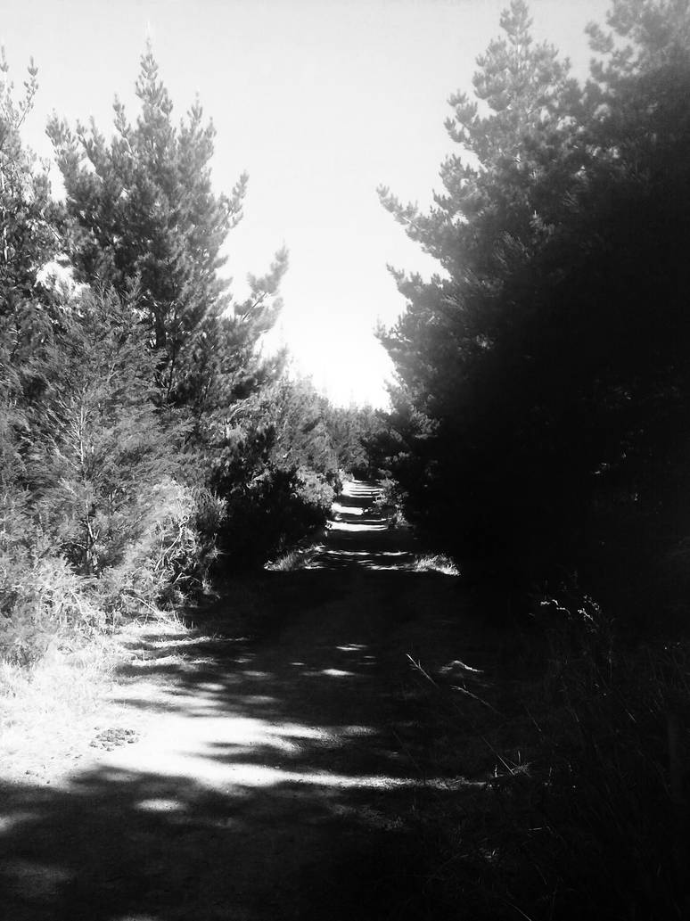 Long Road to Ruin by MotherOfArt on DeviantArt