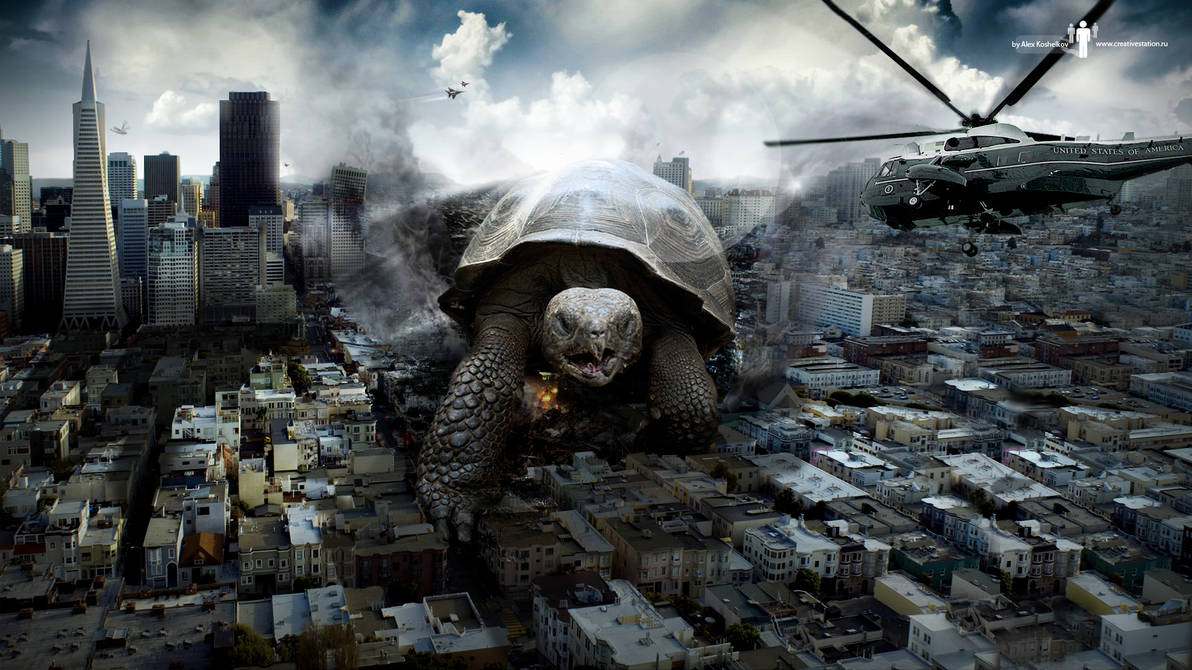 Turtle Attacking by Koshelkov on DeviantArt