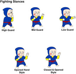 Hattori Martial Art Fighting Stances