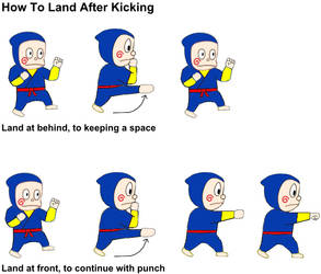 Hattori Martial Art How To Land After Kicking