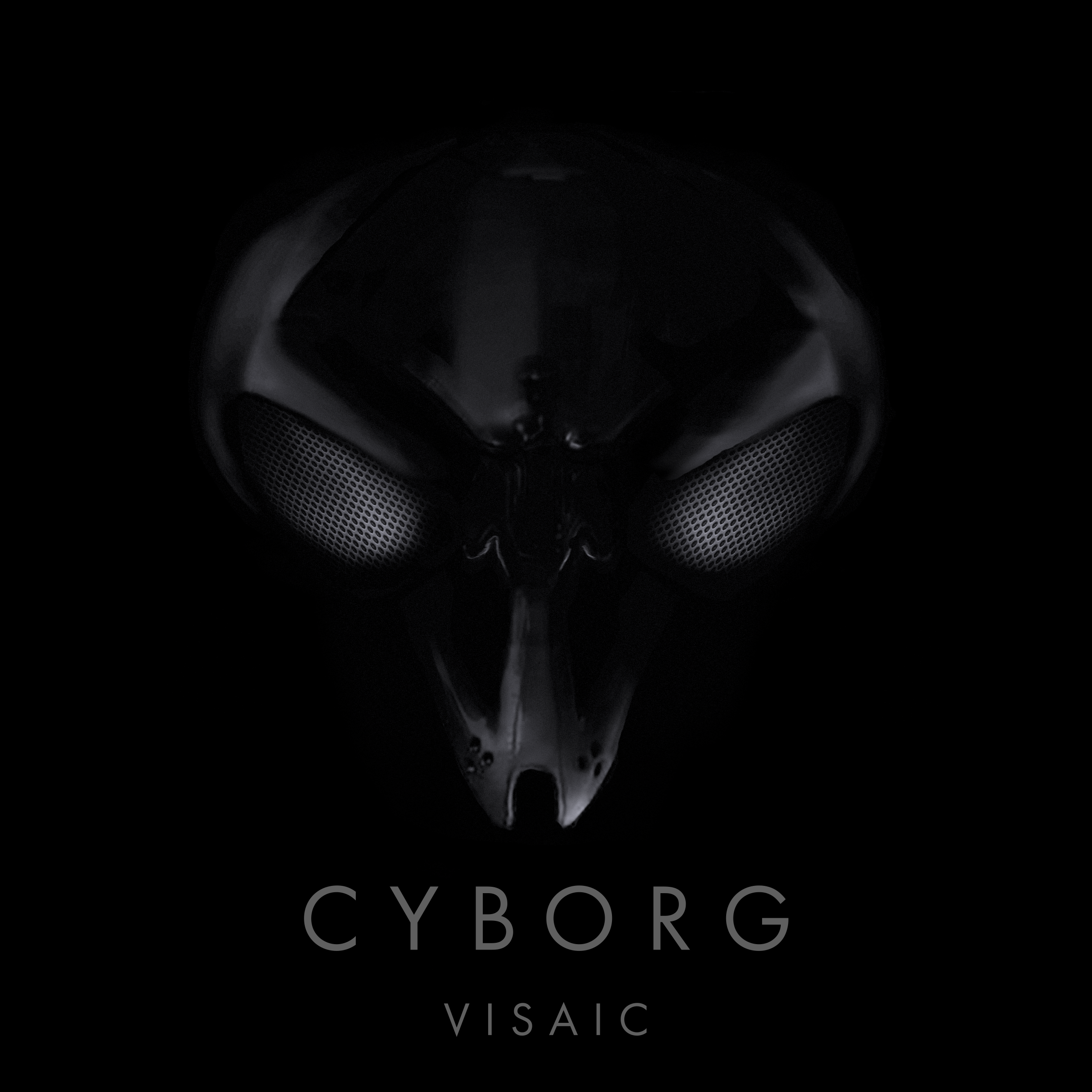 Cyborg cover art