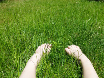 Grass that tickles the feet