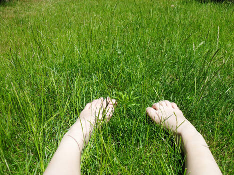 Grass that tickles the feet