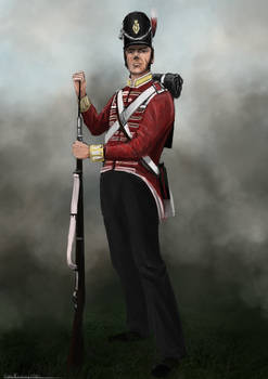 44th Regiment of Foot 1815 (rough)