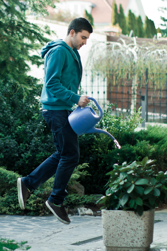 Watering the plants