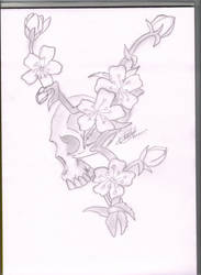 Skull Design