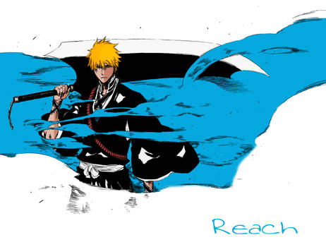 Ichigo New Shinigami Form