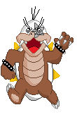 a cheap Morton koopa