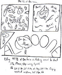 Life Of Bacteria