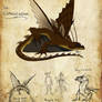 HTTYD: Changewing